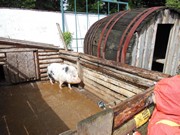 Výlet do ZOO Chleby a Labyrintária Loučeň